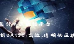 BATSC是什么区块链平台深入