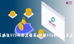 区块链BVS的深度解析：理