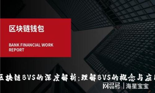 区块链BVS的深度解析：理解BVS的概念与应用