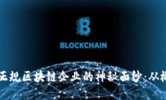 揭开龙南正规区块链企业