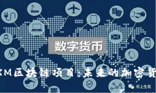 : 深度解析MXM区块链项目：未来的加密货币与生态系统