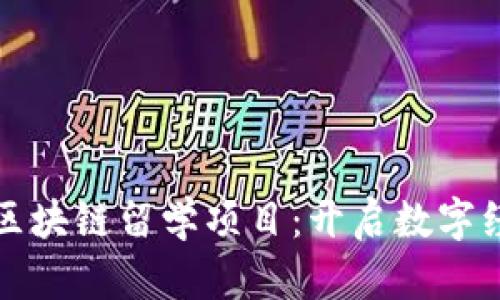 揭秘北美区块链留学项目：开启数字经济新未来