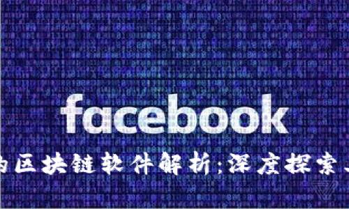 : 玩法新颖的区块链软件解析：深度探索其潜力与应用