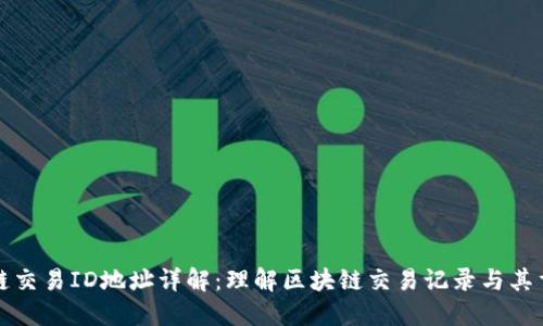 区块链交易ID地址详解：理解区块链交易记录与其重要性