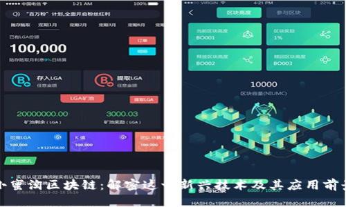 小蜜淘区块链：解密这一新兴技术及其应用前景