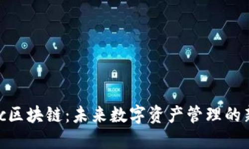 Bitkoc区块链：未来数字资产管理的新趋势