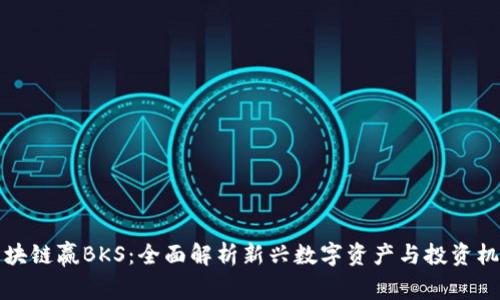 区块链赢BKS：全面解析新兴数字资产与投资机会