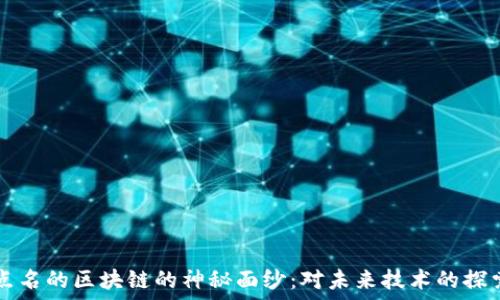   
揭开被点名的区块链的神秘面纱：对未来技术的探索与展望