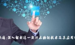 深大通：深入解析这一新