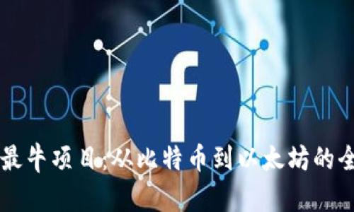区块链最牛项目：从比特币到以太坊的全景探索