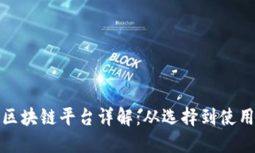 合规的网贷区块链平台详解：从选择到使用的全面指南