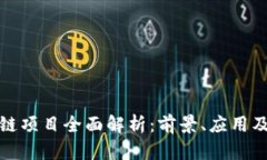 厦门区块链项目全面解析