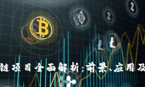 厦门区块链项目全面解析：前景、应用及发展趋势