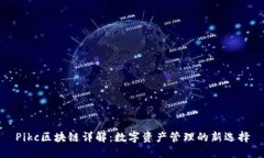 Pikc区块链详解：数字资产