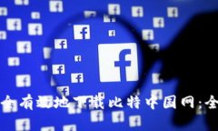 如何安全有效地下载比特中国网：全面指南