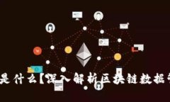 区块链DM是什么？深入解析