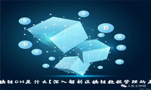 区块链DM是什么？深入解析区块链数据管理的未来