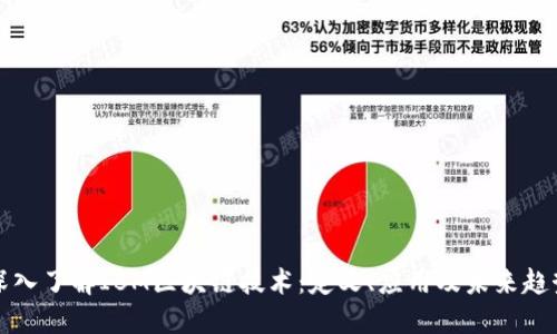 深入了解IBM区块链技术：定义、应用及未来趋势
