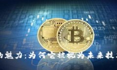 区块链的魅力：为何它被视为未来技术的基石