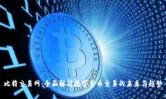 比特交易网：全面解析数