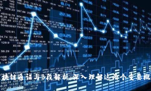 区块链通证与B段解析：深入理解这两个重要概念