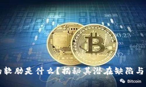 区块链的软肋是什么？揭秘其潜在缺陷与解决方案
