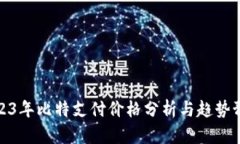 2023年比特支付价格分析与