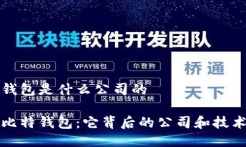 比特钱包是什么公司的

探索比特钱包：它背后的公司和技术介绍