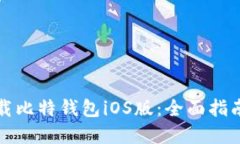 如何安全下载比特钱包i