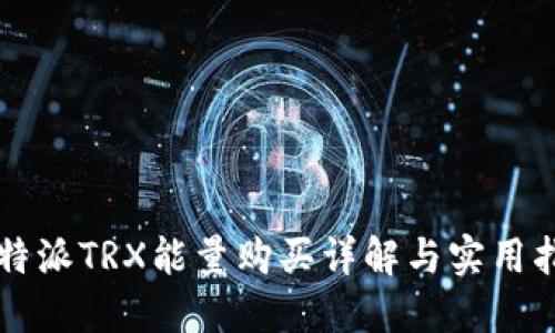 比特派TRX能量购买详解与实用指南