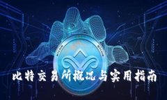 比特交易所概况与实用指