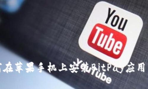 如何在苹果手机上安装BitPay应用程序