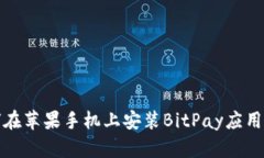 如何在苹果手机上安装B