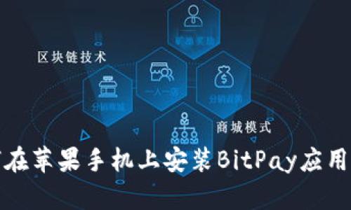 如何在苹果手机上安装BitPay应用程序