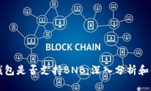 比特派钱包是否支持BNB：深入分析和使用指南