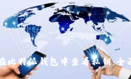 如何在比特派钱包中查看私钥：全面指南