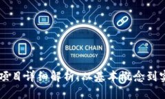 区块链项目详细解析：从