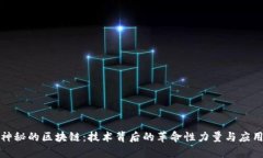 探索神秘的区块链：技术