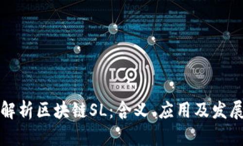 深入解析区块链SL：含义、应用及发展前景