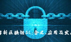 深入解析区块链SL：含义、