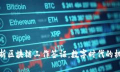 : 深入解析区块链工作签证