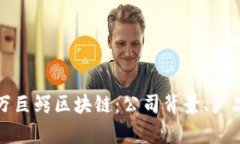 深入解析百万巨鳄区块链