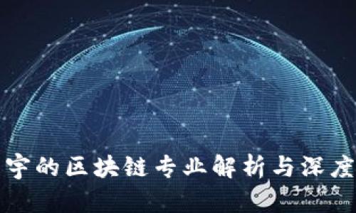 华晨宇的区块链专业解析与深度探讨