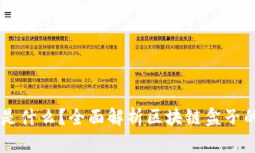 区块链盒子是什么？全面解析区块链盒子的功能与应用