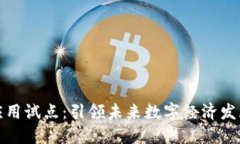 区块链新应用试点：引领