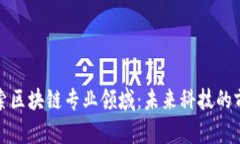 深入探索区块链专业领域