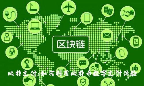 比特支付：如何利用比特币数字支付体验
