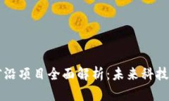区块链前沿项目全面解析