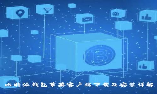 比特派钱包苹果客户端下载及安装详解