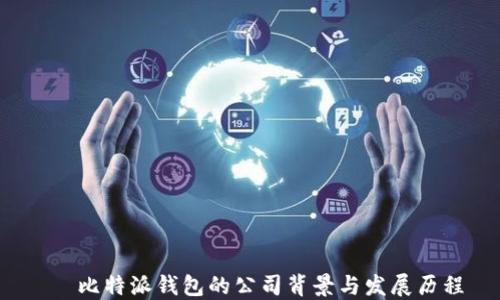 
   比特派钱包的公司背景与发展历程